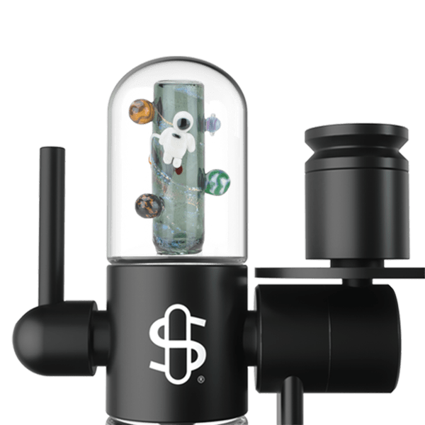 Small Upstem (Straight) Across the Universe