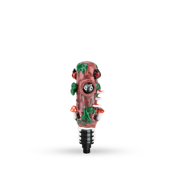 Small Upstem (Percolated) Renew the Redwoods