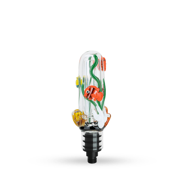 Small Upstem (Percolated) Under the Sea