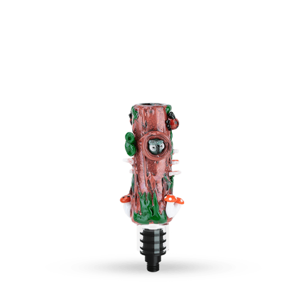 Small Upstem (Straight) Renew the Redwoods