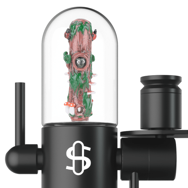 Large Upstem (Percolated) Renew the Redwoods