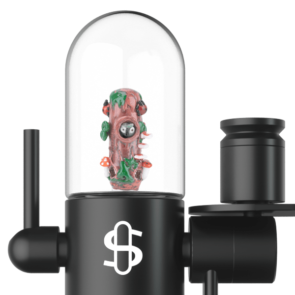 Small Upstem (Percolated) Renew the Redwoods