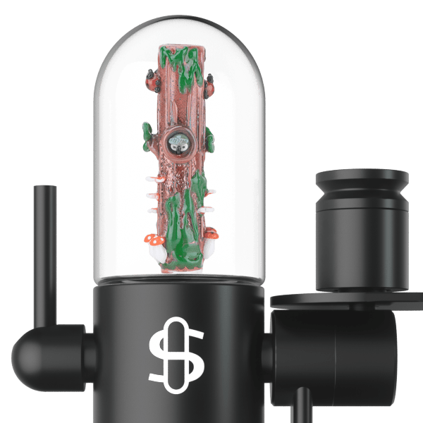 Large Upstem (Straight) Renew the Redwoods