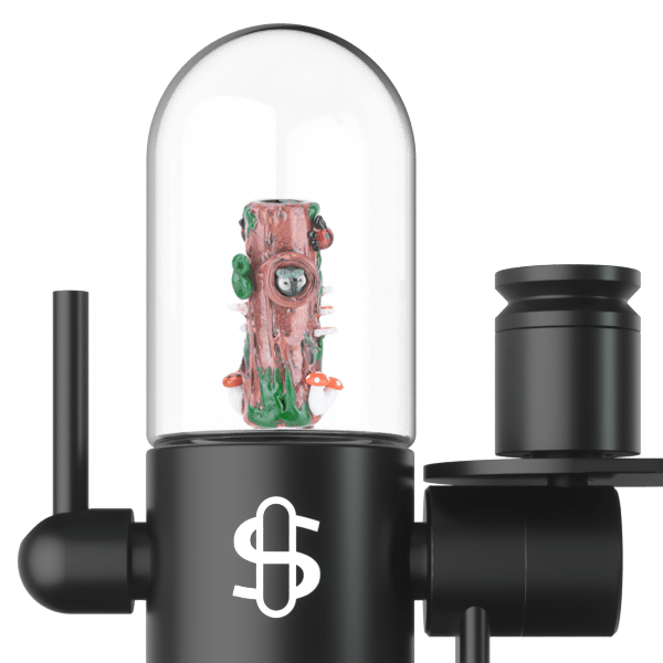 Small Upstem (Straight) Renew the Redwoods