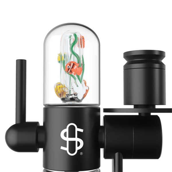 Small Upstem (Percolated) Under the Sea